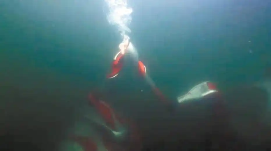 详细阅读:冬残奥会:上肢助力外骨骼机器人协助火炬传递,科技亮点十足 冬残奥会:上肢助力外骨骼机器人协助火炬传递,科技亮点十足